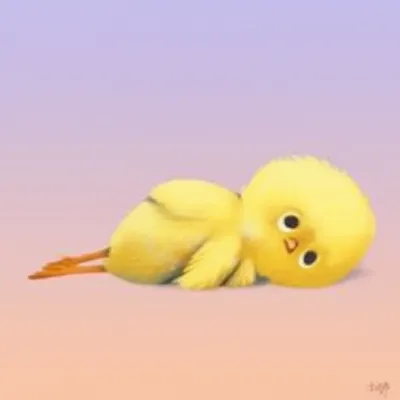 Illustration fluffing - Image 1