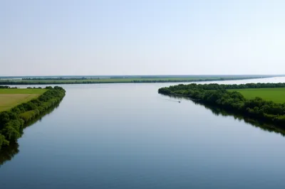 Illustration reaches - Image 1