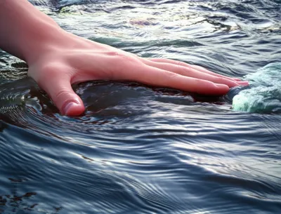 Illustration checking - Image 1