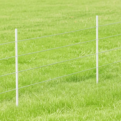 Illustration batons - Image 1