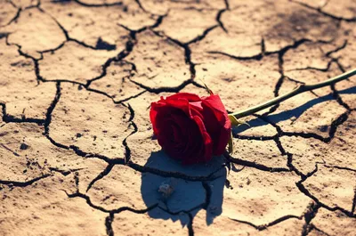 Illustration finished - Image 1