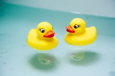 Illustration dupe - Image 1