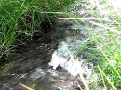 Illustration babble - Image 2