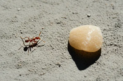 Illustration minute - Image 1