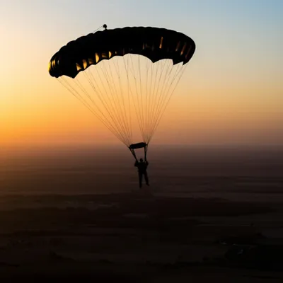 Illustration paras - Image 1