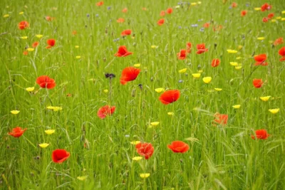 Illustration interspace - Image 1