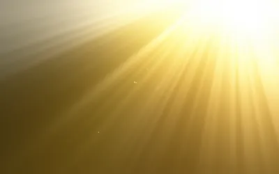 Illustration hoot - Image 1