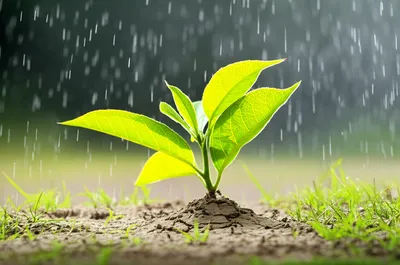 Illustration life - Image 1