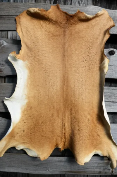 Illustration goatskins