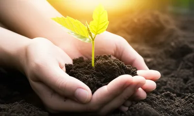 Illustration favored - Image 1