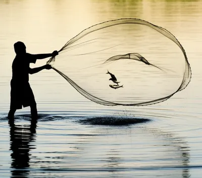 Illustration warp - Image 1