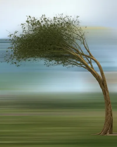 Illustration waived - Image 1