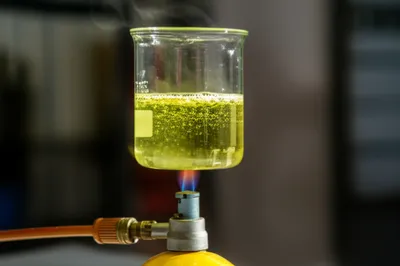 Illustration bile - Image 1