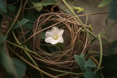 Illustration hem - Image 1