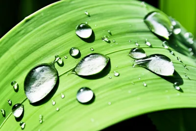 Illustration drops - Image 1