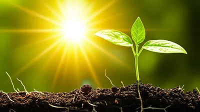 Illustration springs - Image 1