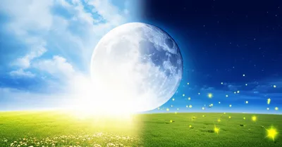 Illustration contemporary - Image 1