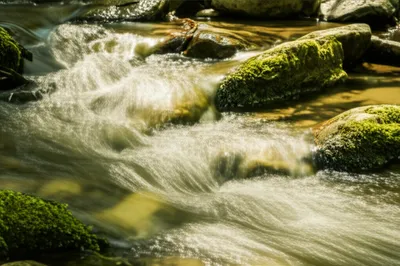 Illustration purl - Image 1