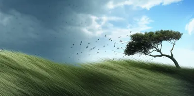 Illustration weather - Image 1