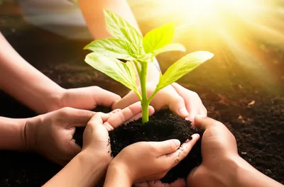 Illustration affirming - Image 2