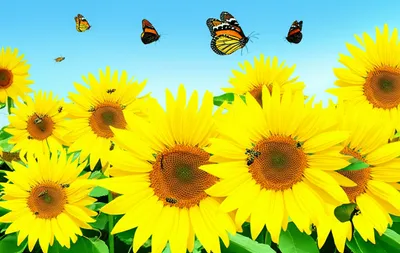 Illustration vibrant - Image 1