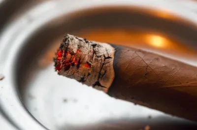 Illustration foot - Image 1