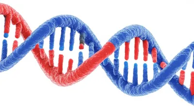 Illustration recombines - Image 1