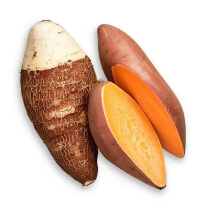 Illustration yam - Image 1