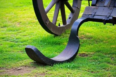 Illustration lunettes - Image 1