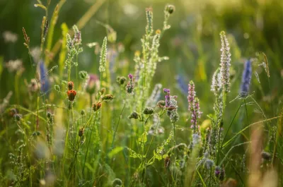 Illustration warmest - Image 1