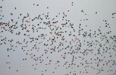 Illustration multitude