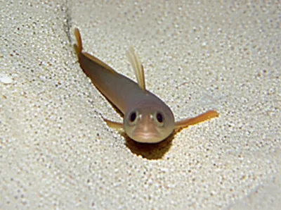 Illustration divers - Image 1