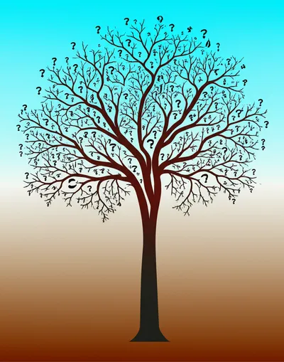 Illustration derivation - Image 1