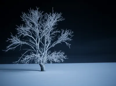 Illustration dead - Image 1