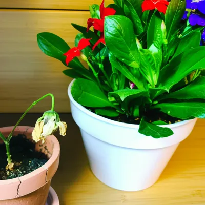 Illustration deprecated - Image 1