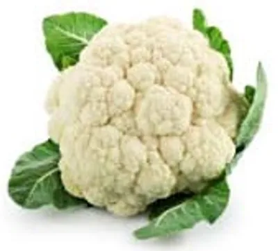 Illustration cauliflower - Image 2