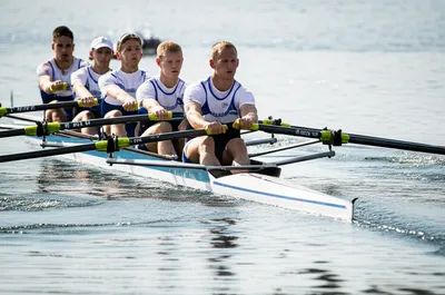 Illustration row - Image 1