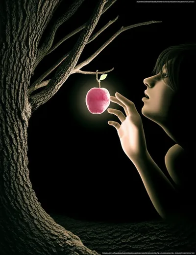 Illustration err - Image 1