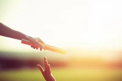 Illustration transmissions - Image 1