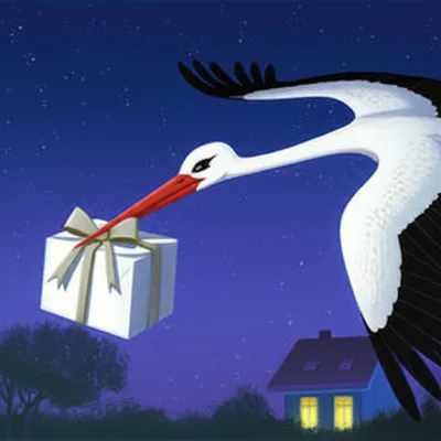 Illustration delivered - Image 1