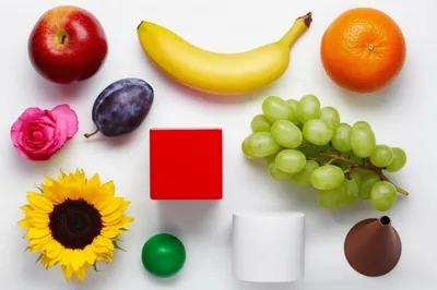 Illustration twelves - Image 1