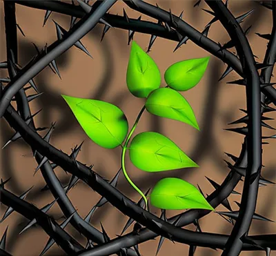 Illustration acquiring - Image 1