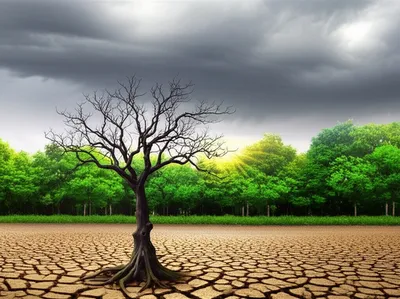 Illustration wan - Image 1