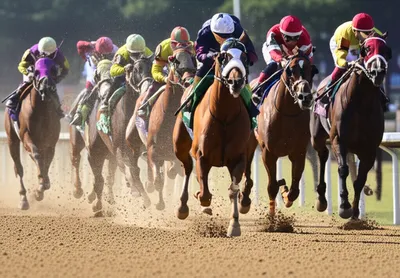 Illustration horseracing