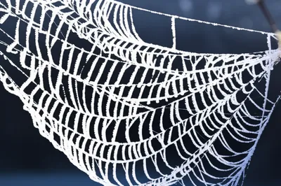 Illustration rimes - Image 1