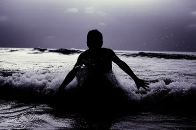 Illustration wades - Image 1