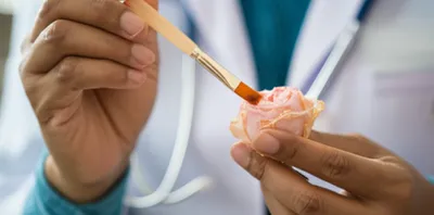 Illustration exhibits - Image 1