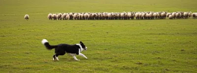 Illustration outruns - Image 1