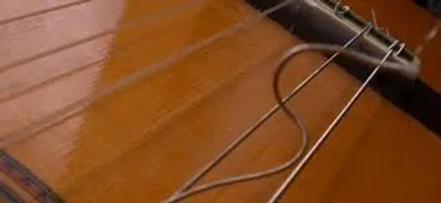 Illustration snap - Image 2