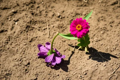 Illustration unvalued - Image 1